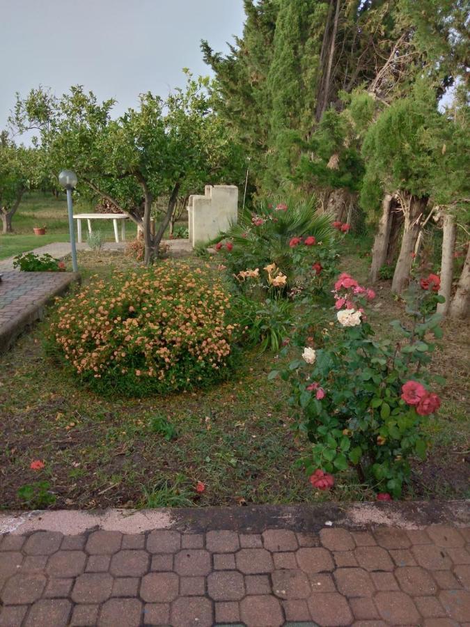 Appartamento In Orosei In Villa Delle Arance 300Mt Dalla Spiaggia Eksteriør billede