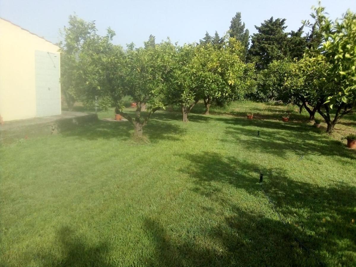 Appartamento In Orosei In Villa Delle Arance 300Mt Dalla Spiaggia Eksteriør billede