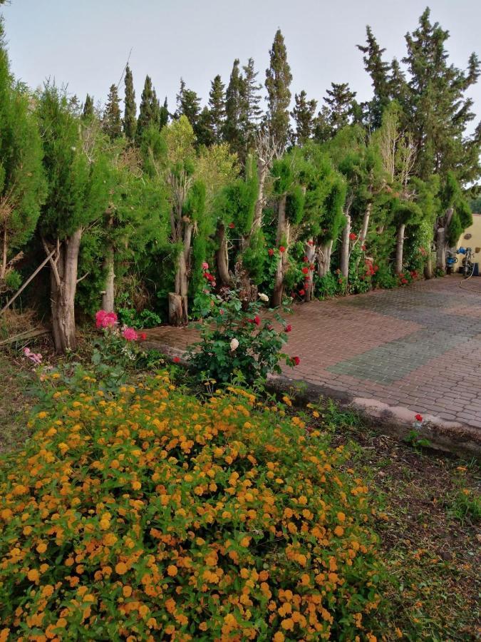 Appartamento In Orosei In Villa Delle Arance 300Mt Dalla Spiaggia Eksteriør billede