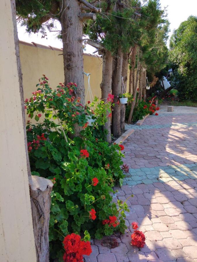 Appartamento In Orosei In Villa Delle Arance 300Mt Dalla Spiaggia Eksteriør billede