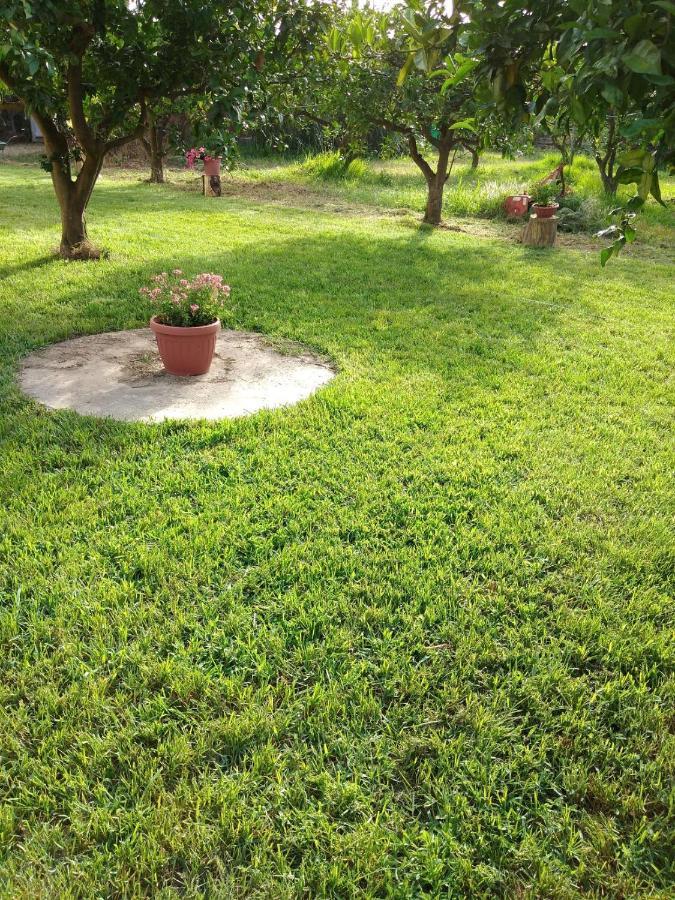 Appartamento In Orosei In Villa Delle Arance 300Mt Dalla Spiaggia Eksteriør billede