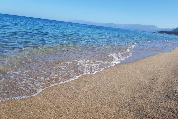 Appartamento In Orosei In Villa Delle Arance 300Mt Dalla Spiaggia Eksteriør billede