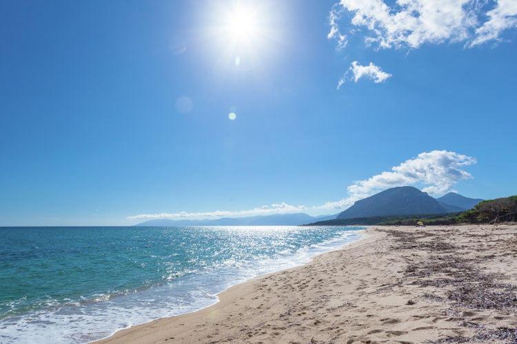 Appartamento In Orosei In Villa Delle Arance 300Mt Dalla Spiaggia Eksteriør billede
